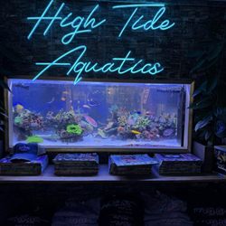 High Tide Aquatics