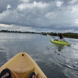 Assateague Tours - Brody