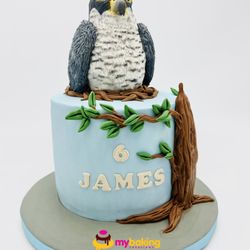My Baking Creations - Eagle Inspired Custom Cake
