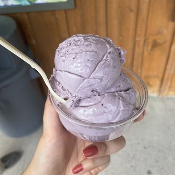 Cayuga Lake Creamery - Purple Cow - Ice Cream & Frozen Yogurt Near Me - Interlaken, New York Cayuga Lake Creamery - Purple Cow - Ice Cream & Frozen Yogurt Near Me - Interlaken, New York
