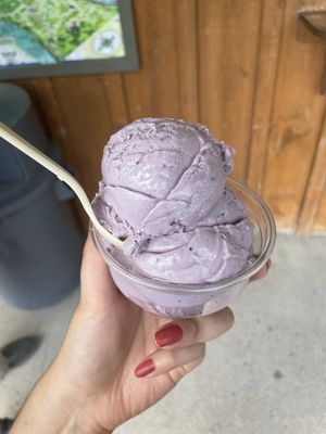 Cayuga Lake Creamery by null