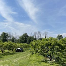 Fruit trees! Fruit trees!