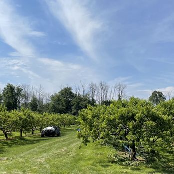 Pappy's Orchard Lisa's Kitchen - Fruit trees! - Bakeries Near Me - Coopersburg, Pennsylvania Pappy's Orchard Lisa's Kitchen - Fruit trees! - Bakeries Near Me - Coopersburg, Pennsylvania