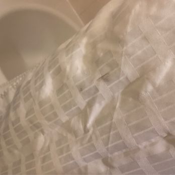 Comfort Suites - Stained shower curtain - Hotels Near Me - Kingsport, Tennessee