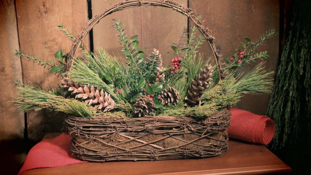 WILDLIKE GOODS Updated September 2024 14 Photos 20935 Watertown