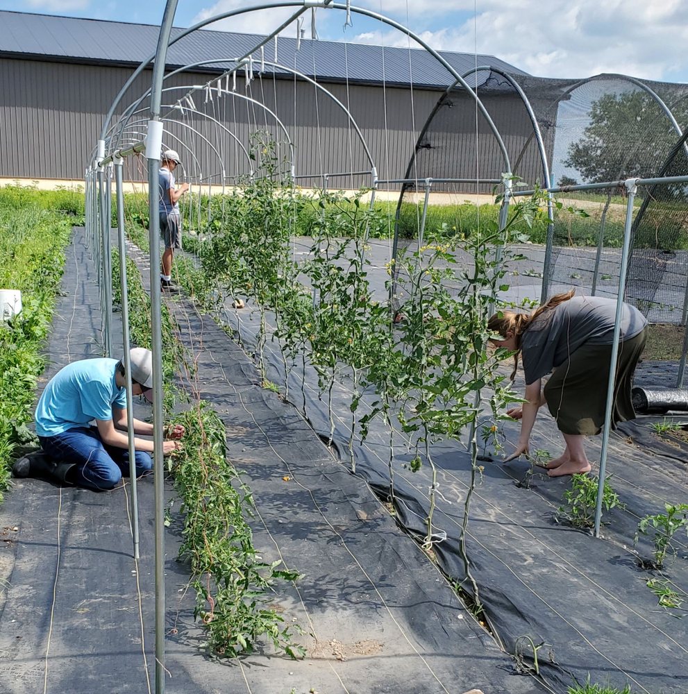 THE GREENSTED FARM STORE Updated August 2024 15 Photos 45820