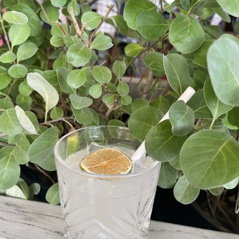 Deck. - Mai Tai their own mix! - Hawaiian Near Me - Honolulu, Hawaii
