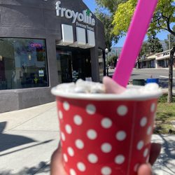FroyoLife - Froyo to go