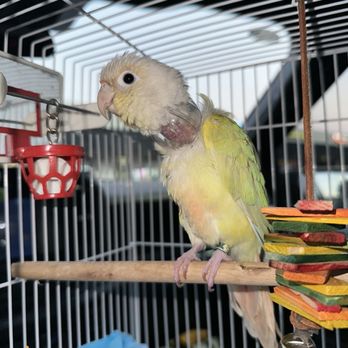 Summertree Animal & Bird Clinic - Veterinarians Near Me - Dallas, Texas Summertree Animal & Bird Clinic - Veterinarians Near Me - Dallas, Texas