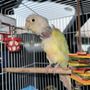 Photo of Summertree Animal & Bird Clinic