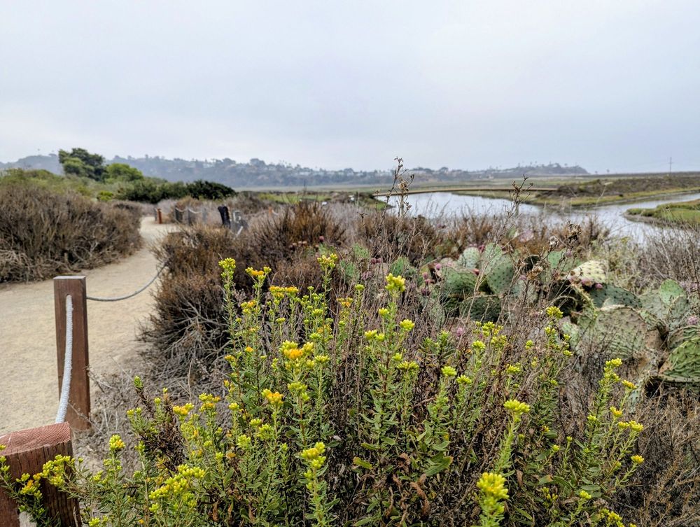 San Elijo Lagoon Ecological Reserve Logo