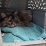 Photo of North Main Animal Hospital