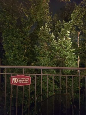 Dive Bar and Grille (Savage Mill) by null