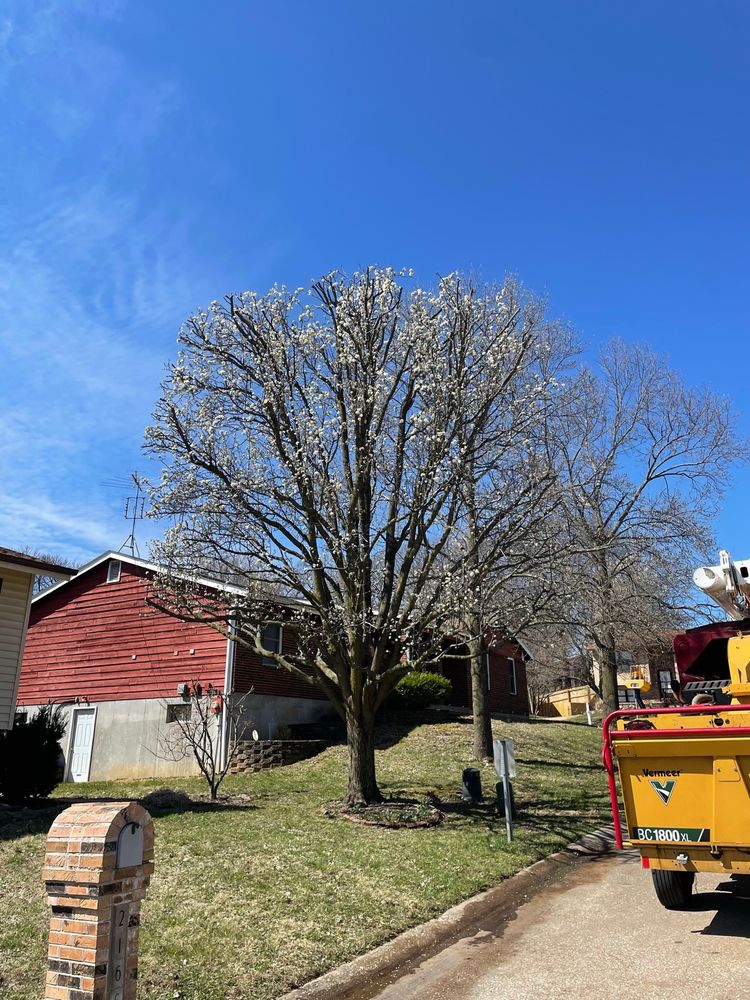DeClue & Sons Tree Care - tree service in Arnold, MO