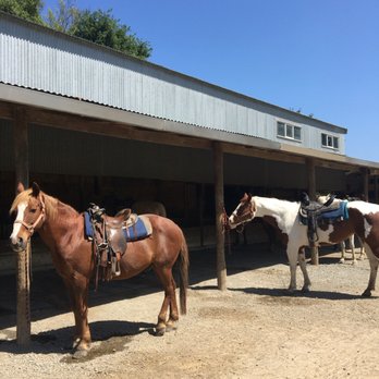 Five Brooks Ranch - Horseback Riding Near Me - Olema, California Five Brooks Ranch - Horseback Riding Near Me - Olema, California