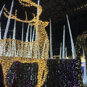 Enchant - a lighted deer in the middle of a crowd - Festivals Near Me - Vancouver, British Columbia