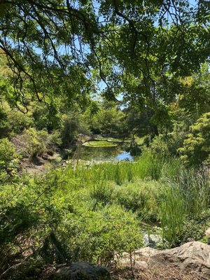 Sonoma Botanical Garden by null