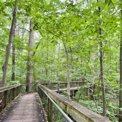 Lindenwood Nature Preserve - Reflection trail