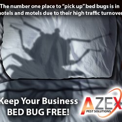 AZEX Pest Solutions