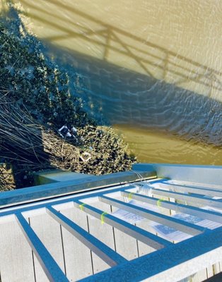 Cannon's Point Preserve by null