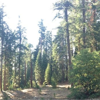 Trail of 100 Giants - Hiking Near Me - Springville, California Trail of 100 Giants - Hiking Near Me - Springville, California