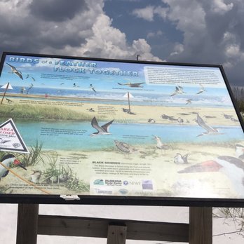Henderson Beach State Park - Birds Sign at Henderson Beach State Park - Beaches Near Me - Destin, Florida Henderson Beach State Park - Birds Sign at Henderson Beach State Park - Beaches Near Me - Destin, Florida