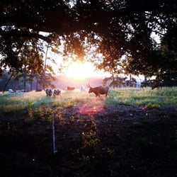 Ramsay Hill - Sunrise on Ramsay Hill