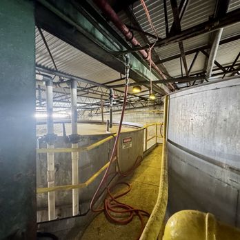 Cruzan Rum Distillery - Making rum. - Tours Near Me - St Croix, Virgin Islands