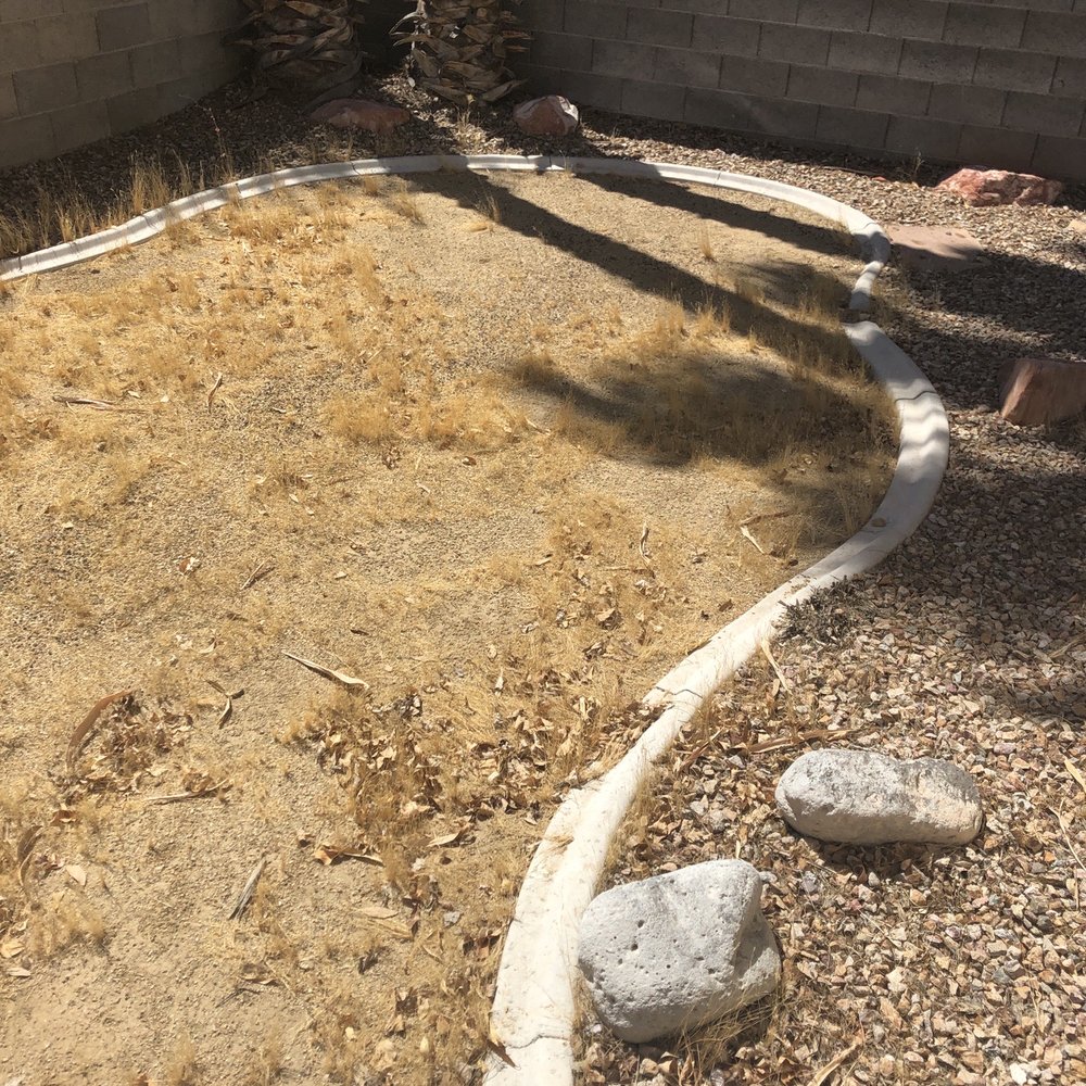 AAA Landscaping - More ugliness... - Landscaping Near Me - Henderson, Nevada AAA Landscaping - More ugliness... - Landscaping Near Me - Henderson, Nevada