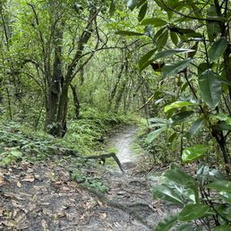 Path to ravine