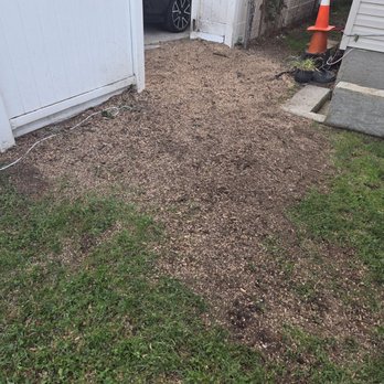 Cross Island Tree & Land - Tree Services Near Me - Freeport, New York