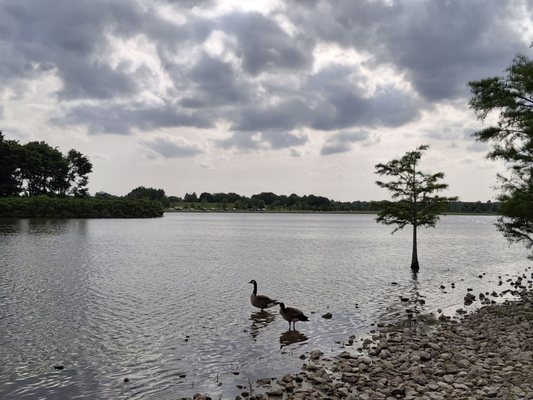 Shelby Farms Park by null