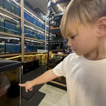 HD Aquatics & Electronics - Mobile Phone Repair Near Me - Hesperia, California HD Aquatics & Electronics - Mobile Phone Repair Near Me - Hesperia, California