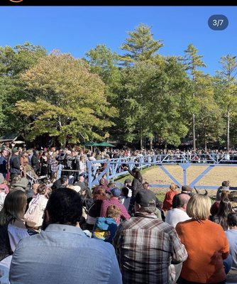 King Richard's Faire