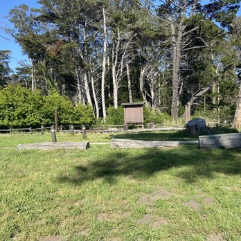 New Brighton Campground - Campgrounds Near Me - Aptos, California