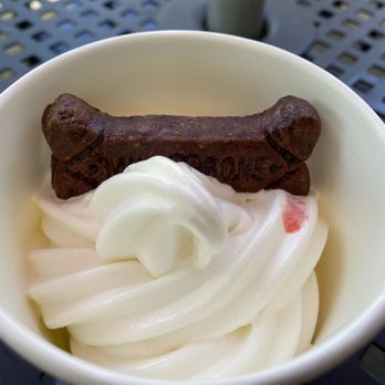 Buddy Lou's Eats Drinks & Antiques - Dog sundae. - New American Near Me - Hancock, Maryland Buddy Lou's Eats Drinks & Antiques - Dog sundae. - New American Near Me - Hancock, Maryland
