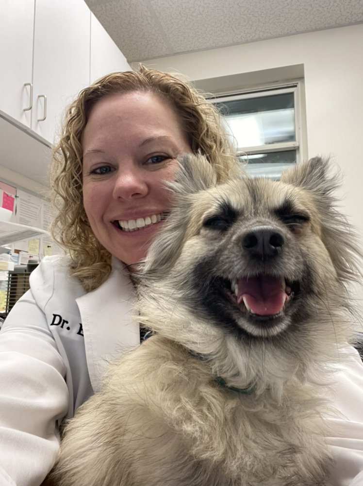 STRINGTOWN ANIMAL HOSPITAL 104 Photos & 14 Reviews Veterinarians 1320 Stringtown Rd, Grove