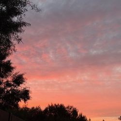 Nice sunset view from the park