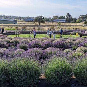 Bees N Blooms - Nurseries & Gardening Near Me - Santa Rosa, California Bees N Blooms - Nurseries & Gardening Near Me - Santa Rosa, California