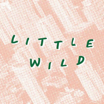 Little Wild - Little Wild. - Bars Near Me - Chicago, Illinois Little Wild - Little Wild. - Bars Near Me - Chicago, Illinois
