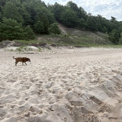 Came here on a weekday in early July (around 8-9am) and it was nearly empty. SO NICE!
