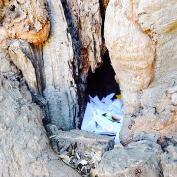 The Giving Tree - The notes and letters. - Hiking Near Me - Los Angeles, California