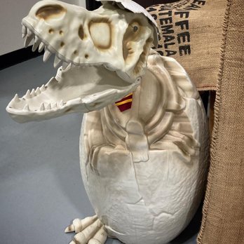 Glory Cloud Coffee Roasters - Hatching dinosaur - Coffee & Tea Near Me - Sparks, Nevada