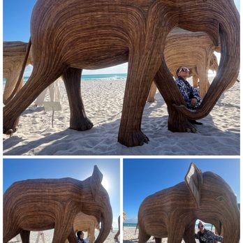 The Great Elephant Migration - Public Art Near Me - Miami Beach, Florida The Great Elephant Migration - Public Art Near Me - Miami Beach, Florida