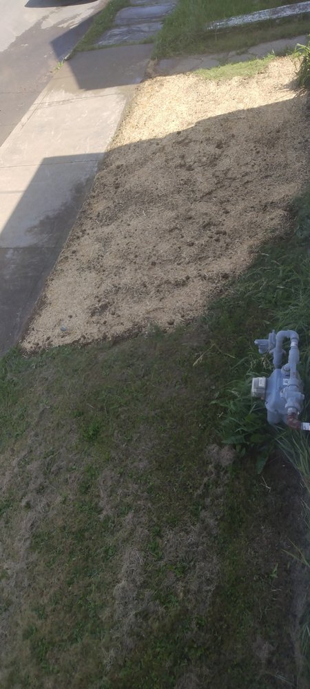 Slide of Rossi Rooter