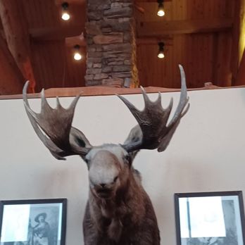 Moosejaw Pizza & Dells Brewing - Pizza Near Me - Wisconsin Dells, Wisconsin