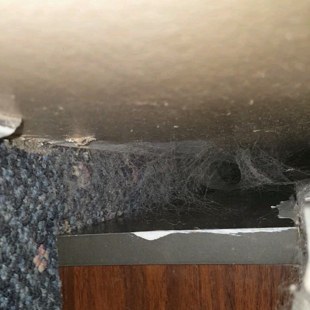 Lantern Park Motel - What was behind the bed!! - Hotels Near Me - Airway Heights, Washington Lantern Park Motel - What was behind the bed!! - Hotels Near Me - Airway Heights, Washington