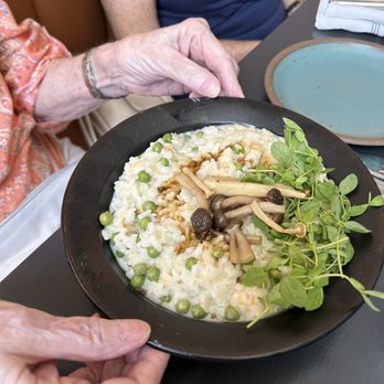 Josephine - Some type of risotto - Italian Near Me - Jacksonville, Florida