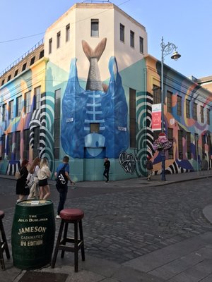 The Auld Dubliner by null