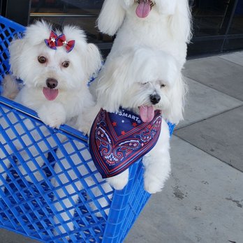 PetSmart - My 3 furry children loves to be groomed by Jenn S. at Petsmart in Foothill Ranch. For more photos, visit Facebook Furry Hula Paws - Pet Groomers Near Me - Foothill Ranch, California PetSmart - My 3 furry children loves to be groomed by Jenn S. at Petsmart in Foothill Ranch. For more photos, visit Facebook Furry Hula Paws - Pet Groomers Near Me - Foothill Ranch, California